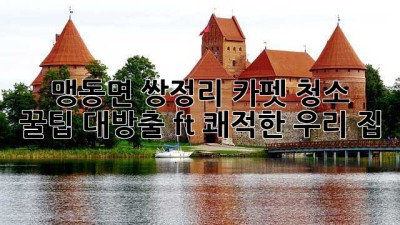 🏡 맹동면 쌍정리 카펫 청소 ✨ 꿀팁 대방출! (ft. 쾌적한 우리 집)
