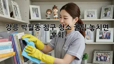 강릉 박월동 침구 청소 꿀팁🍯✨ 놓치면 후회!