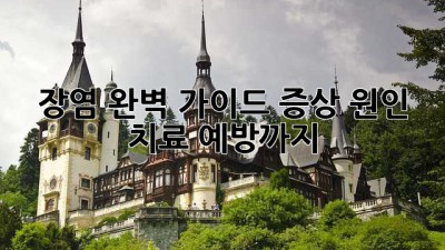 장염 완벽 가이드: 증상, 원인, 치료, 예방까지!